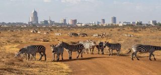 Weather and Climate of Nairobi National Park