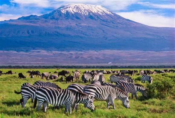 5 days Masai Mara and Amboseli safari