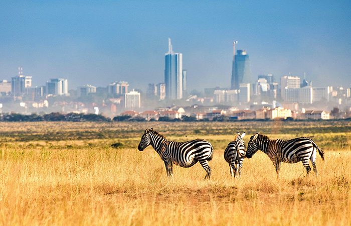 Guide to visiting Nairobi National Park