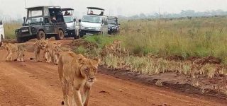 Nairobi national park Entrance Fee 2022