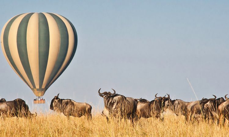 7 days Kenya wildlife safari