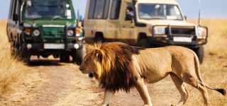 7 days Maasai Mara, Lake Nakuru, Amboseli and Tsavo East safari