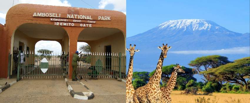 New Amboseli National Park Fees July 2023 – December 2024