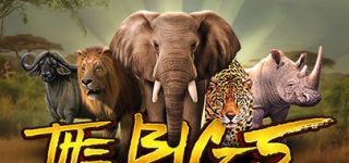 What to expect on a safari in Kenya?