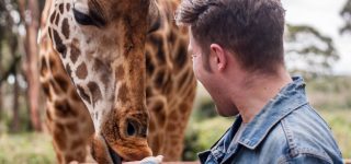 Why you should visit the giraffe centre in Nairobi