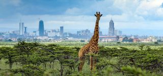 How to choose a safari destination for your trip