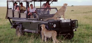 Safaris in Kenya