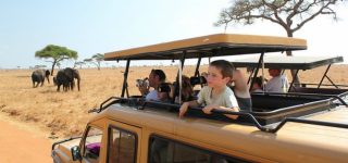 Family safari experiences in Queen Elizabeth Park