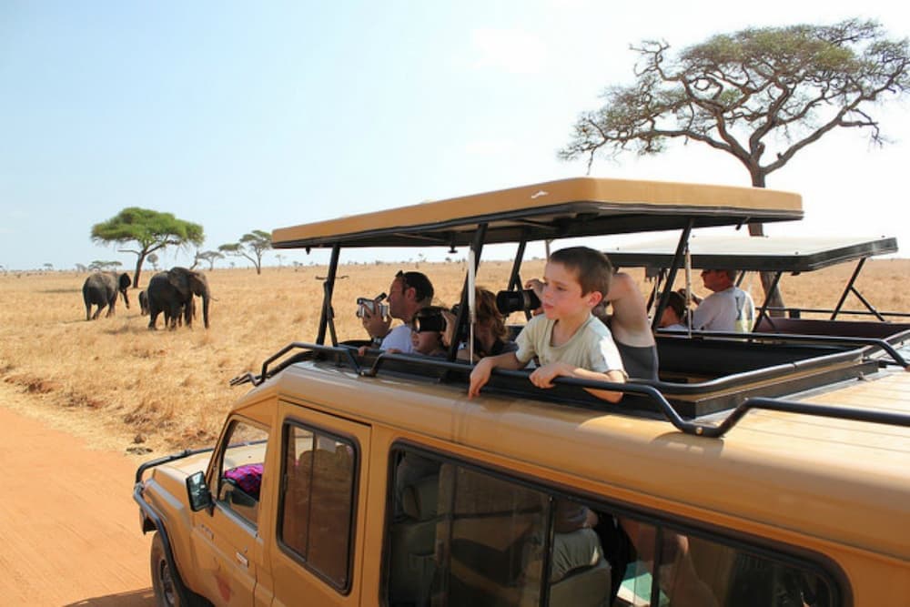 Family safari experiences in Queen Elizabeth Park