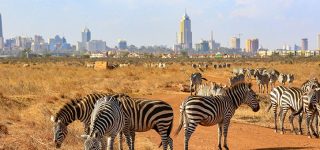 1 Day Nairobi national park
