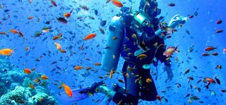 Malindi Marine National Park & Reserve Entrance Fees