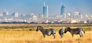 Facts About Nairobi National Park