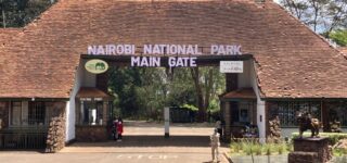 Nairobi National Park Entrance Fees & Park Rules 2024