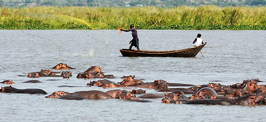 4 Days Bwindi and Queen Elizabeth Safari from Kigali