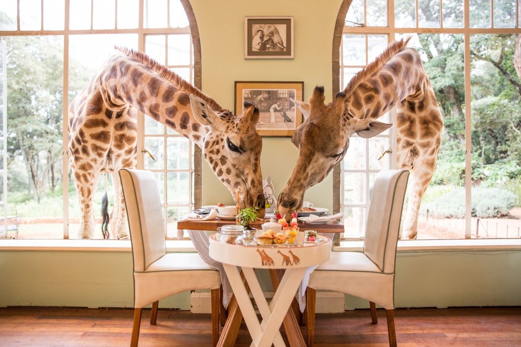 Nairobi National Park Safari